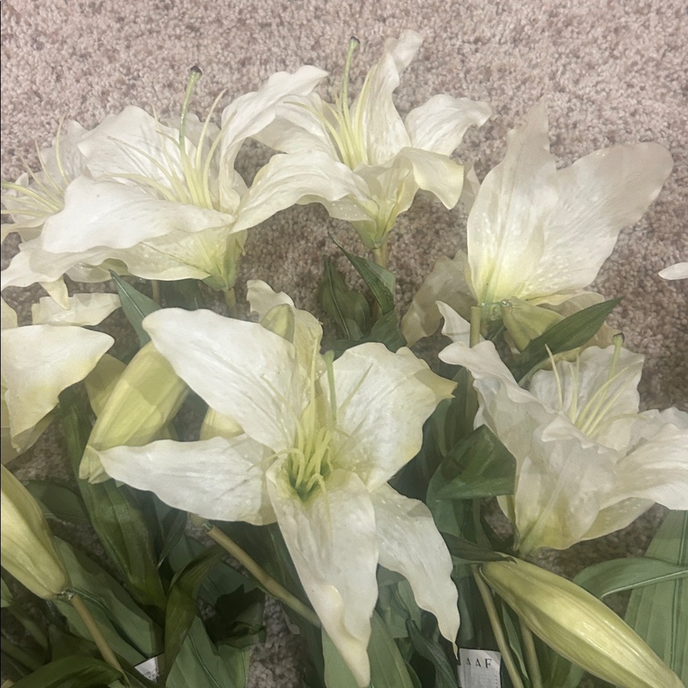 Cream Lily Flower Stems - Picture 4 of 4